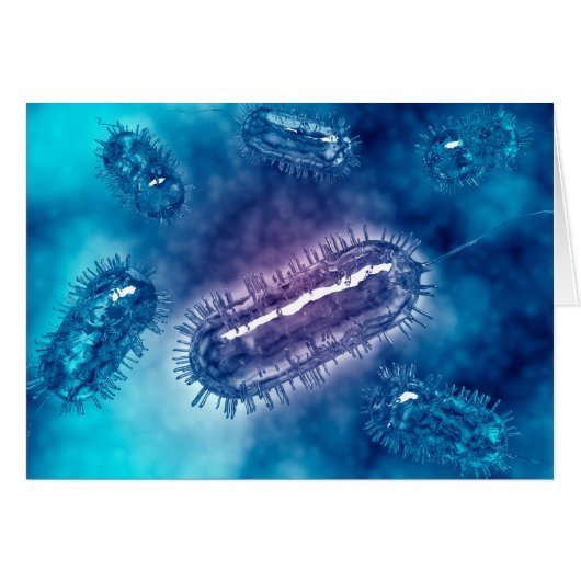 Group Of Escherichia Coli Bacteria Cells 1 Cards (Front Horizontal)