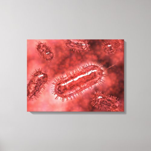 Group Of Escherichia Coli Bacteria Cells 2 Canvas Print