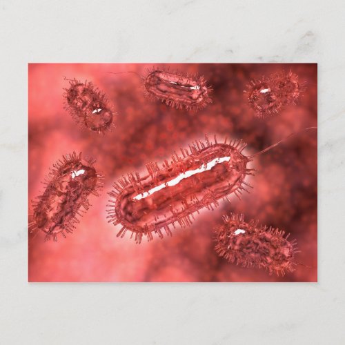 Group Of Escherichia Coli Bacteria Cells 2 Postcard