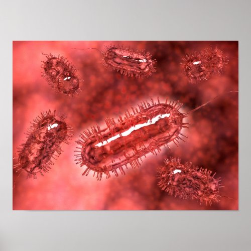 Group Of Escherichia Coli Bacteria Cells 2 Poster