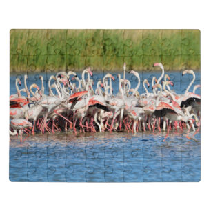 Group of flamingos in Camargue Jigsaw Puzzle