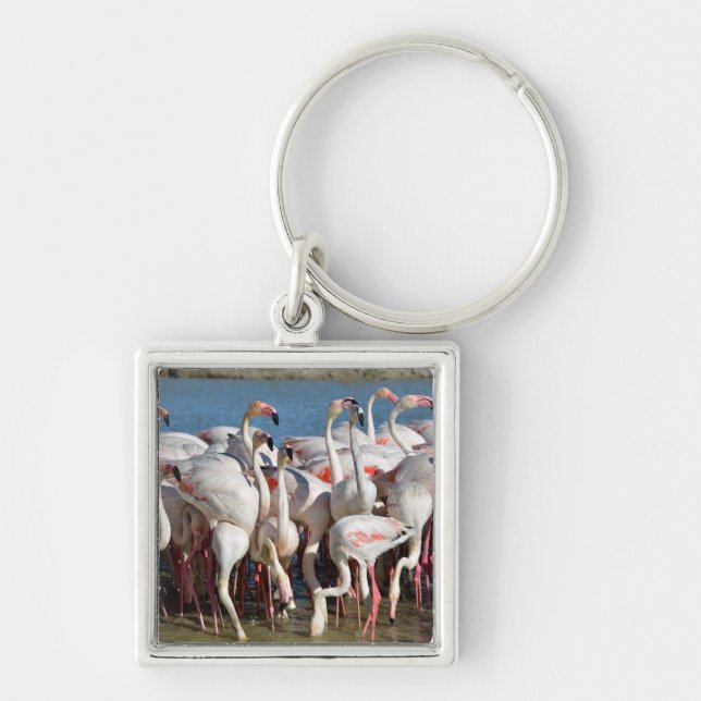 Group of flamingos in Camargue  Keychain (Front)
