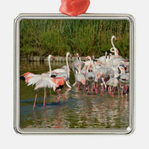Group of flamingos in Camargue Metal Ornament