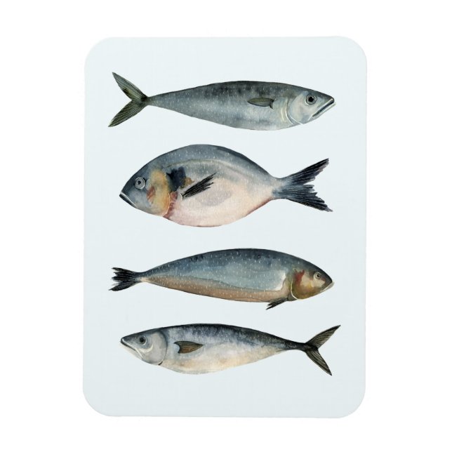 Group of Four Fish Magnet (Vertical)