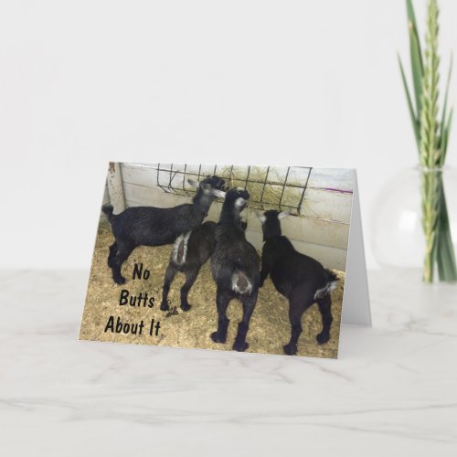 GROUP OF GOATS SEND NO BUTTS ABOUT IT BIRTHDAY FUN CARD