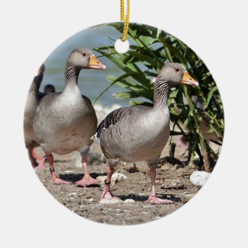 Group of greylag geese walking ceramic ornament