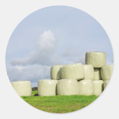 Group of hay bales in meadowJPG Classic Round Sticker