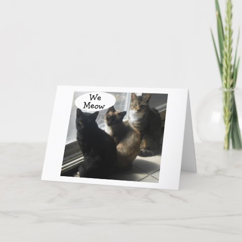 GROUP OF KITTIES MEOWING BEST WISHES TO YOU CARD