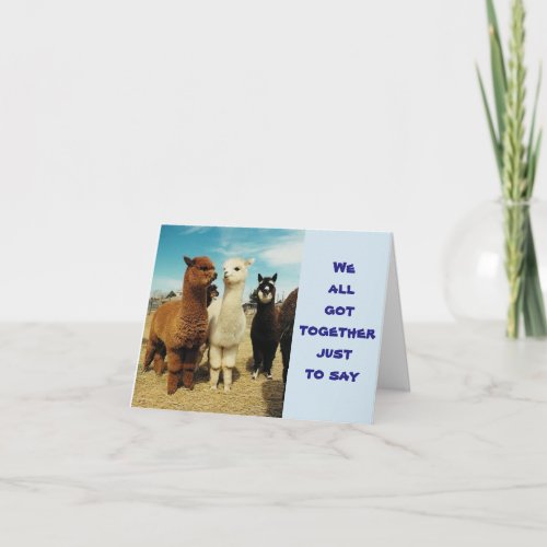 GROUP OF LLAMAS SAY HAPPY BIRTHDAY CARD