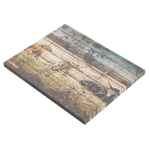 Group of Longhorns Laying in Field Distressed Wood Gallery Wrap