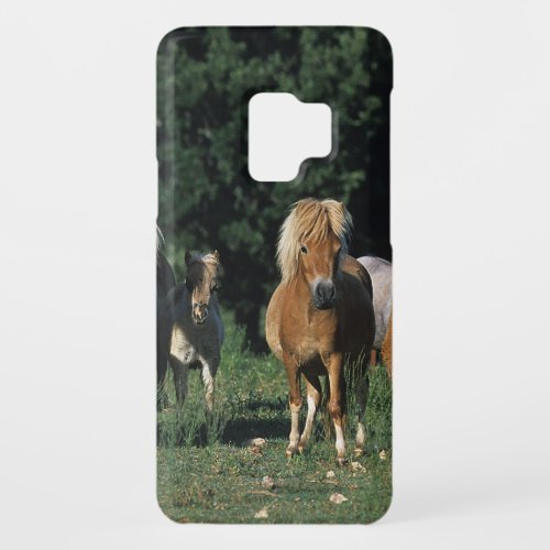 Group of Miniature Foals Case_Mate Samsung Galaxy S9 Case