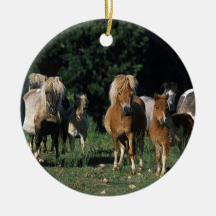 Group of Miniature Foals Ceramic Ornament