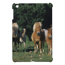 Group of Miniature Foals iPad Mini Case