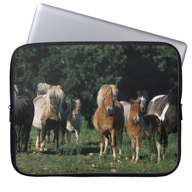 Group of Miniature Foals Laptop Sleeve (Front)