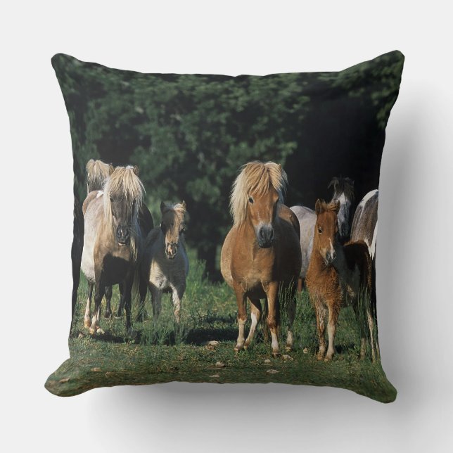Group of Miniature Foals Throw Pillow (Front)