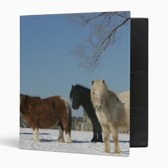 Group of Miniature Horses in the Snow 3 Ring Binder (Front/Inside)