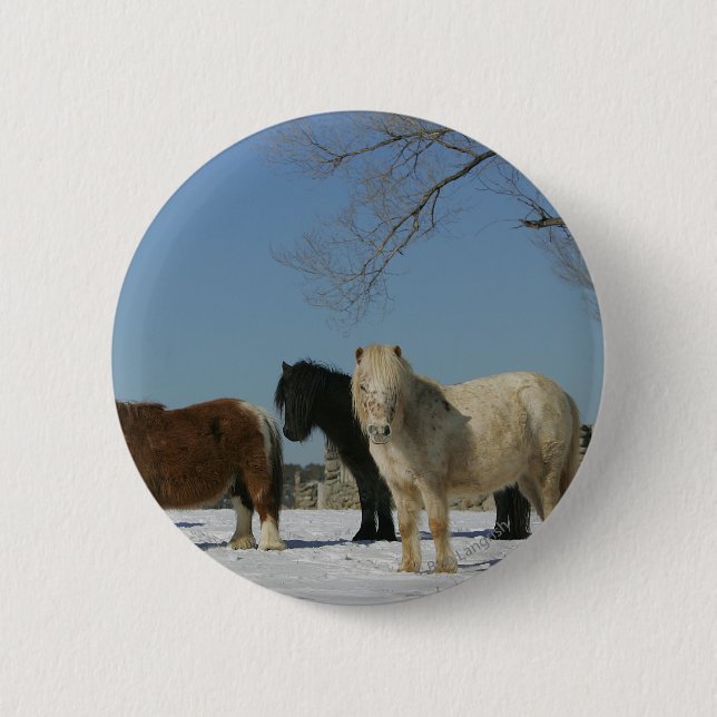 Group of Miniature Horses in the Snow Button (Front)