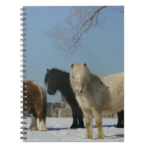 Group of Miniature Horses in the Snow Notebook