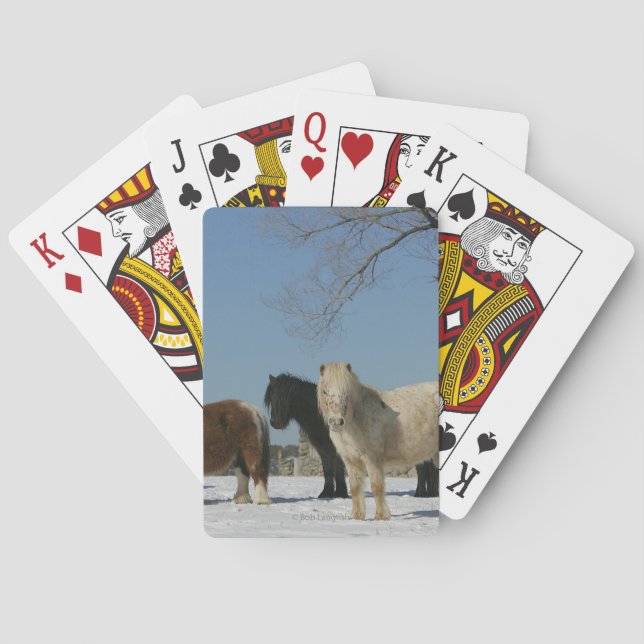 Group of Miniature Horses in the Snow Poker Cards (Back)