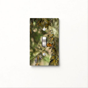 Group of Monarch Butterfies, Mexico Light Switch Cover