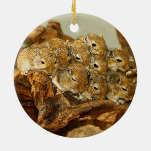 Group of Mongolian Gerbils Meriones Unguiculatus Ceramic Ornament
