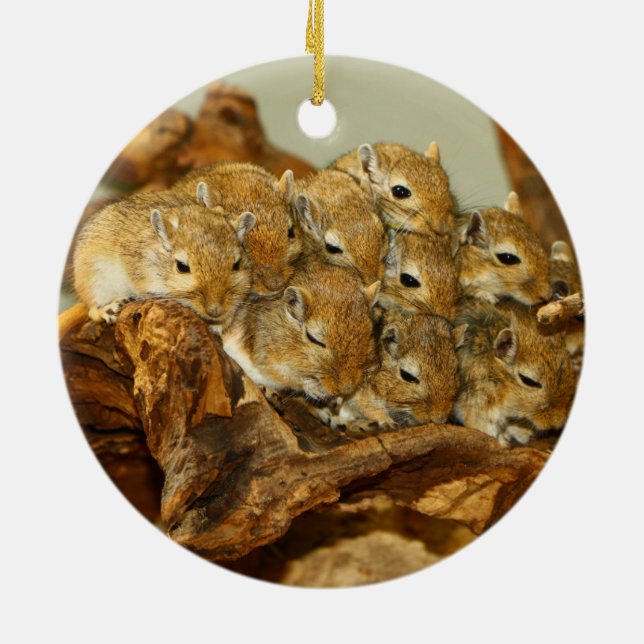 Group of Mongolian Gerbils Meriones Unguiculatus Ceramic Ornament (Back)