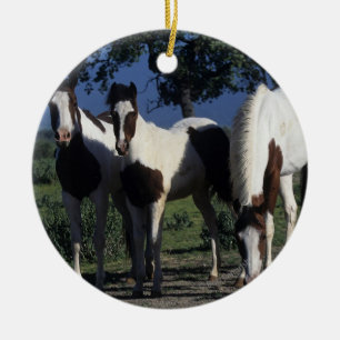 Group of Paint Horses Ceramic Ornament