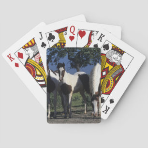 Group of Paint Horses Poker Cards