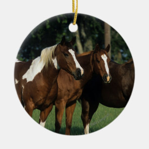 Group of Paint Horses Standing Ceramic Ornament