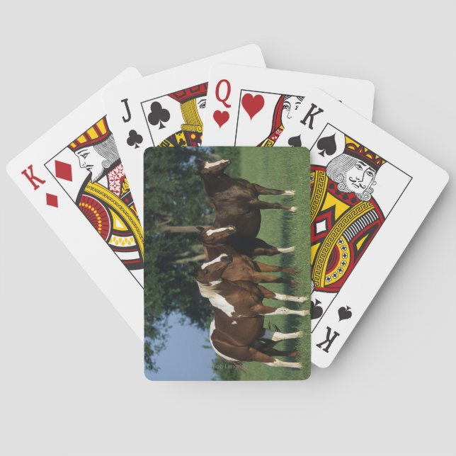 Group of Paint Horses Standing Poker Cards (Back)