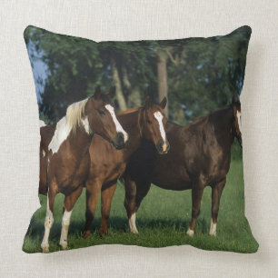Group of Paint Horses Standing Throw Pillow