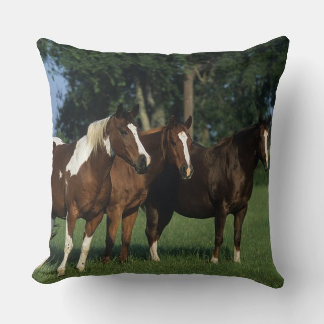 Group of Paint Horses Standing Throw Pillow (Front)