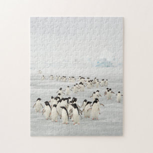 Group of Penguins Jigsaw Puzzle
