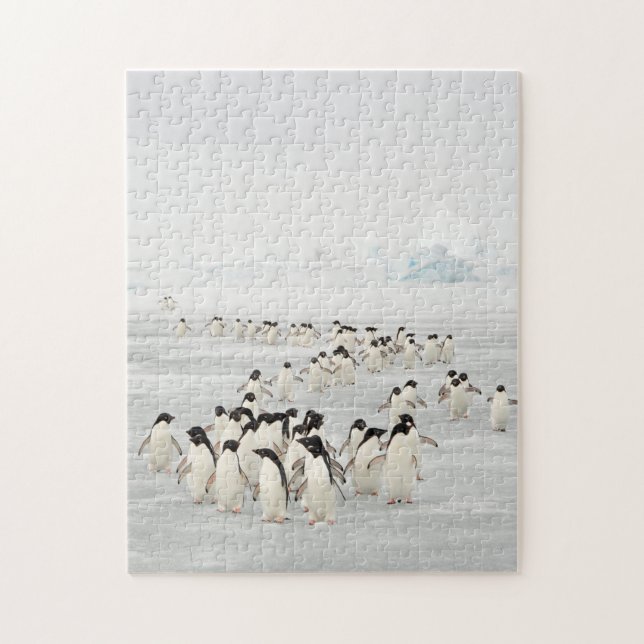 Group of Penguins Jigsaw Puzzle (Vertical)