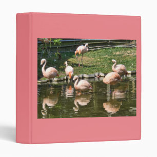 ***GROUP OF PINK FLAMINGOS*** SPECIAL PHOTO ALBUMN 3 RING BINDER