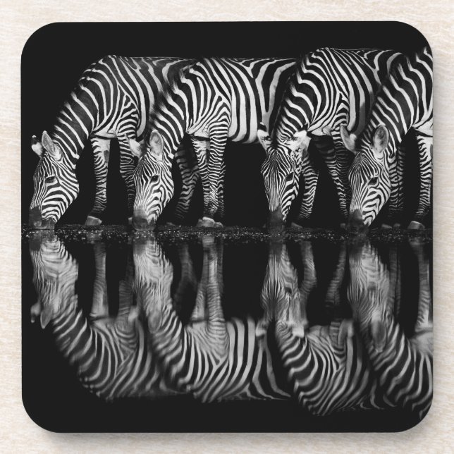 Group of Plains Zebra Drink Together at Night Beverage Coaster (Front)