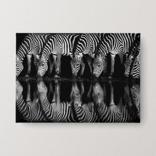 Group of Plains Zebra Drink Together at Night Button