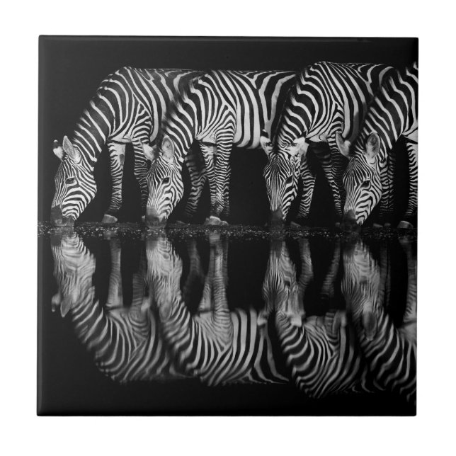 Group of Plains Zebra Drink Together at Night Ceramic Tile (Front)