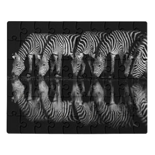 Group of Plains Zebra Drink Together at Night Jigsaw Puzzle