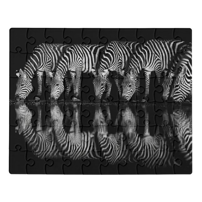 Group of Plains Zebra Drink Together at Night Jigsaw Puzzle (Puzzle Horizontal)