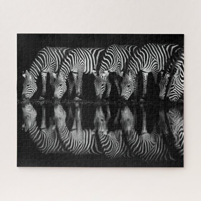 Group of Plains Zebra Drink Together at Night Jigsaw Puzzle (Horizontal)