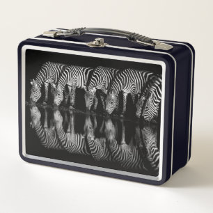 Group of Plains Zebra Drink Together at Night Metal Lunch Box