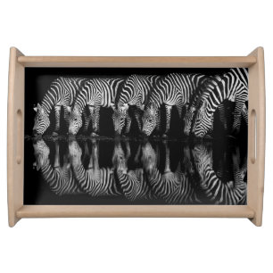 Group of Plains Zebra Drink Together at Night Serving Tray
