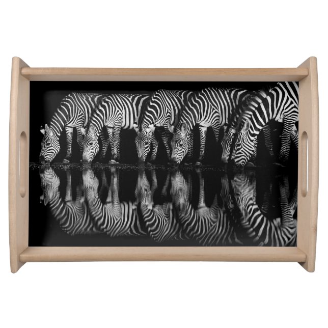 Group of Plains Zebra Drink Together at Night Serving Tray (Front)