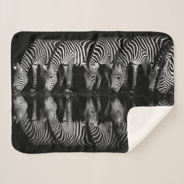 Group of Plains Zebra Drink Together at Night Sherpa Blanket (Front (Horizontal))