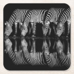 Group of Plains Zebra Drink Together at Night Square Paper Coaster<br><div class="desc">Africa,  East Africa,  Kenya,  Great Rift Valley,  Olkirimatian Conservancy,  plains zebra,  Equus quagga.  A group of plains zebra drink together at night.  B & W</div>