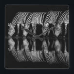 Group of Plains Zebra Drink Together at Night Square Wall Clock<br><div class="desc">Africa,  East Africa,  Kenya,  Great Rift Valley,  Olkirimatian Conservancy,  plains zebra,  Equus quagga.  A group of plains zebra drink together at night.  B & W</div>