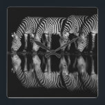 Group of Plains Zebra Drink Together at Night Square Wall Clock<br><div class="desc">Africa,  East Africa,  Kenya,  Great Rift Valley,  Olkirimatian Conservancy,  plains zebra,  Equus quagga.  A group of plains zebra drink together at night.  B & W</div>