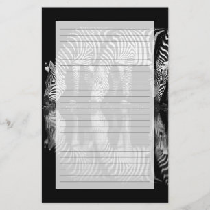 Group of Plains Zebra Drink Together at Night Stationery