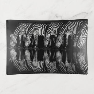 Group of Plains Zebra Drink Together at Night Trinket Tray
